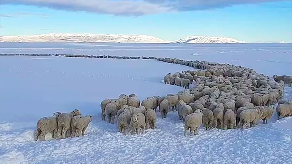 Fenómeno Meteorológico Alerta por "bomba polar": el fenómeno que congela la Patagonia y avanza al ce