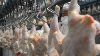El pollo hace historia en la mesa de los argentinos: ya supera a la carne vacuna en consumo