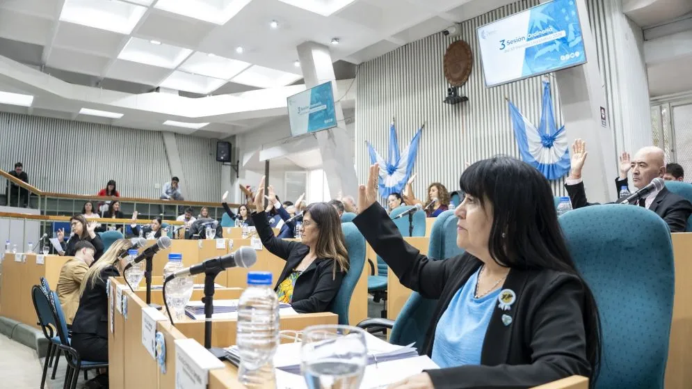 Ingresó a Diputados la reforma electoral que elimina la Ley de Lemas en Santa Cruz